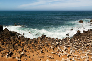 Fototapeta na wymiar Fishermen's route in the Alentejo, promenade with cliffs in Portugal. Wooden walkway along the coastline.