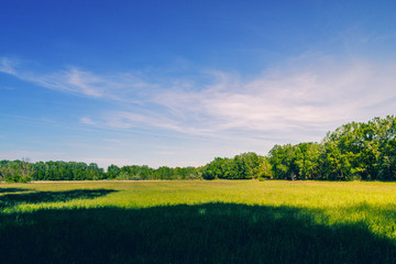 Obraz premium Spring walk in floodplain forests