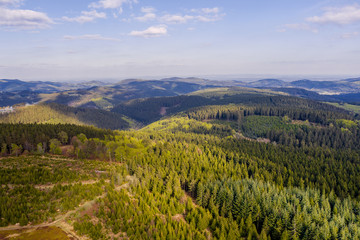 evening forest landscape from above