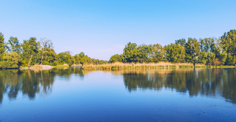 Spring walk in floodplain forests