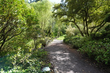 Path through the woods