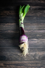 purple onion with roots on wooden background