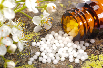 Obraz na płótnie Canvas alternative and natural medicine with herbal pills