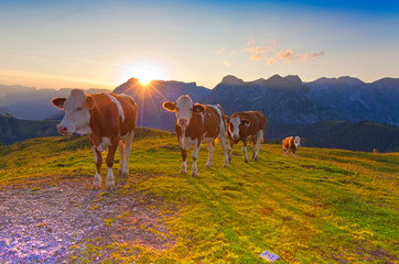 St.Martin im Tennengebirge im Tennengau