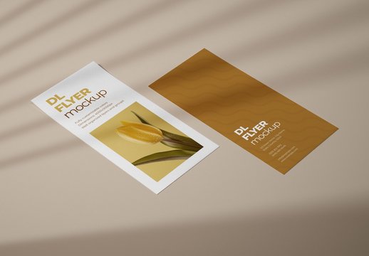 Realistic DL Flyer Mockup for Creative Design and Branding Projects