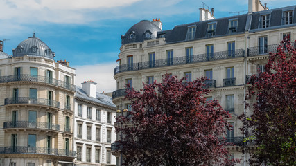 Obraz premium Paris, typical facades and street, beautiful buildings in Pigalle 