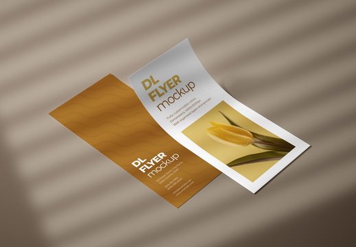 Realistic DL Flyer Mockup for Creative Design and Branding Projects
