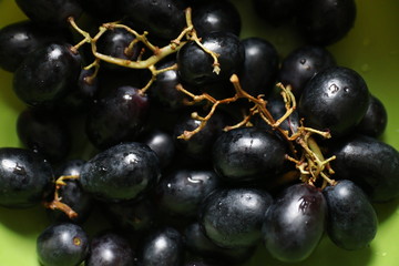 fresh large black seedless grapes