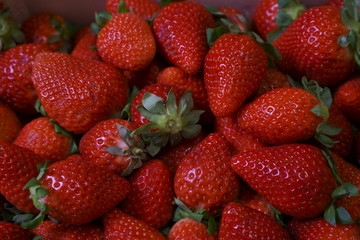 Red stunning strawberries in a box