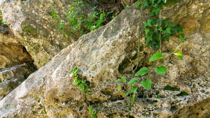 Texture of the stones on river bank. Imereti region. Georgia country