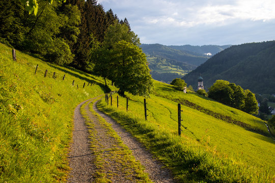 Talweg_M&uuml;nstertal_2286