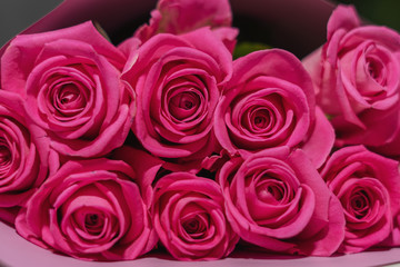 Fototapeta na wymiar a bouquet of pink roses close-up