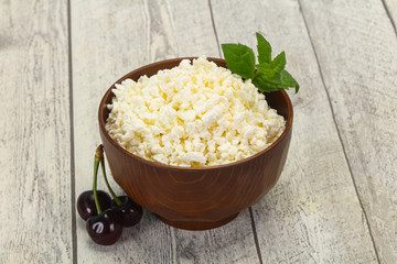 Fresh tasty curd in the bowl