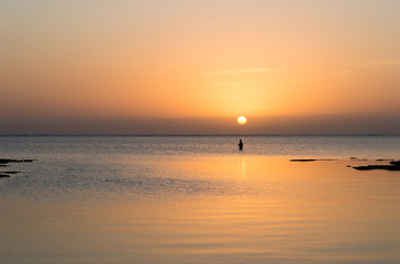 夕日のオレンジ色が反射した穏やかな海で釣りをする人