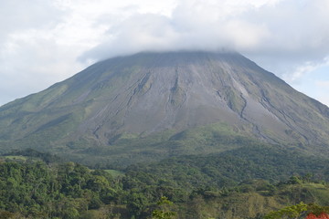 Fototapeta premium naturaleza flores y volcan