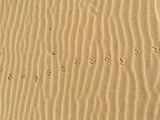 footprint in sand