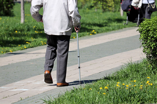 Elderly man walking with a cane in a city spring park. Concept of limping, diseases of the spine