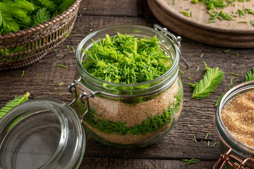 Preparation of homemade syrup against cough from young spruce tips and sugar