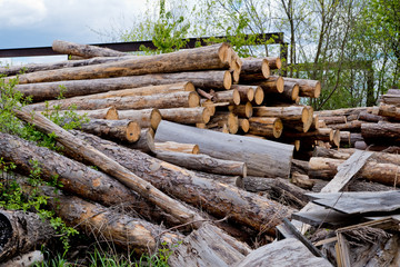  A pile of logs at a woodworking factory.