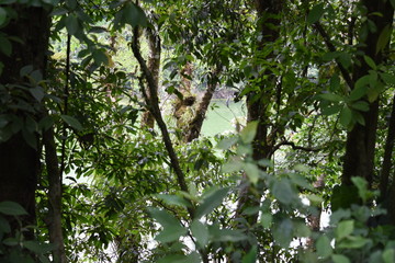 Fototapeta premium naturaleza