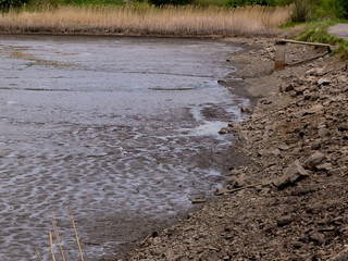 Empty and drained pond. Drought and no water in the landscape.