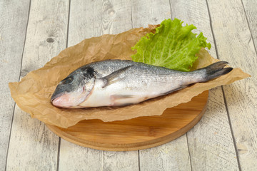 Raw Dorada fish  for cooking