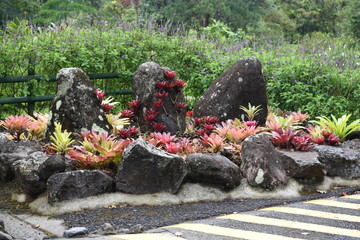 naturaleza