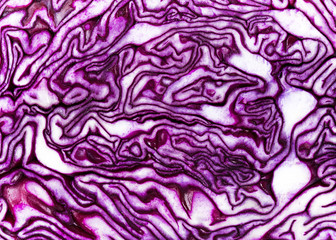 Beautiful background of the raw purple cabbage in the cut. Abstract nature texture. Top view. 