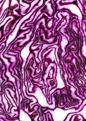 Obraz premium Macro details of half raw red cabbage in violet and white colors. Abstract nature background. Flat lay.
