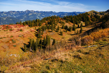View on hillside and Alps peaks near Niedere Kopf, Bregenzerwald, Austria.
