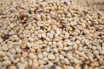 Many coffee beans