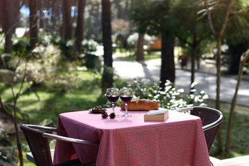 Table with two glasses of wine on and snack in the woods.