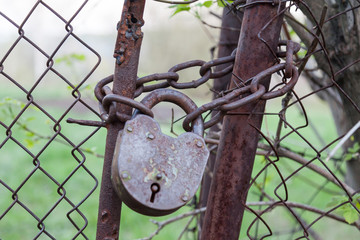 A large old closed iron castle with rust and peeling paint on a thick barn chain wrapped between the gates of a metal fence against a background of green grass and a tree. Private guarded area.