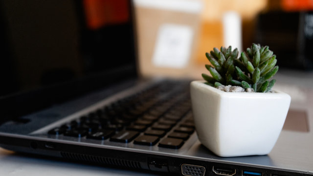 Home office, trabajo desde casa, con amuletos y adornos. para pasar mejor las ma&ntilde;anas de ardua labor.