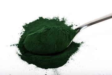 An isolated tablespoon of dried organic spirulina algae powder, on white or rustic background.