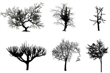 Obraz premium vector illustration of silhouettes of trees without leaves on white background