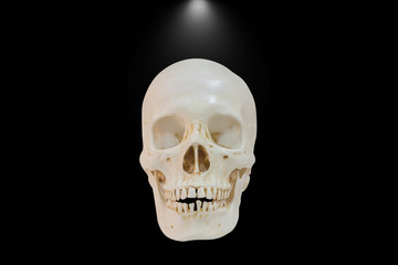 Skull of dark.