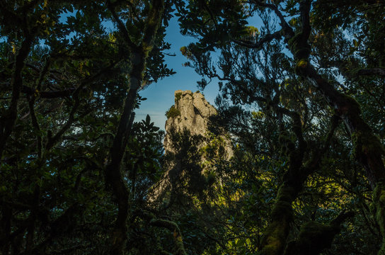 Roque Anambro in Rural de Anaga Park, Tenerife, Spain
