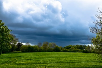 Regenwolken über dem Feld im Mai, in Pries bei Kiel