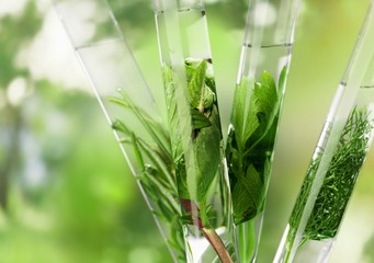 Biofuel.