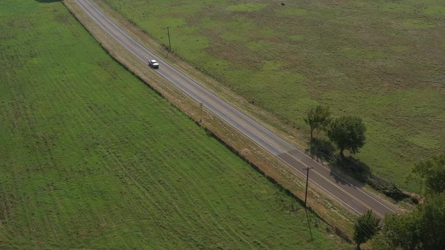 Country Highway with Pastures and Cattle, Burleson County, Texas, USA