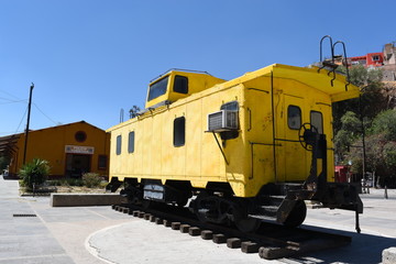 Obraz premium tren