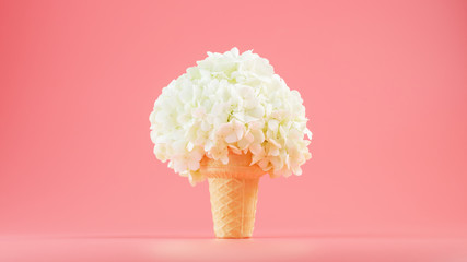 White flowers in a waffle cone of ice cream on a pink background.