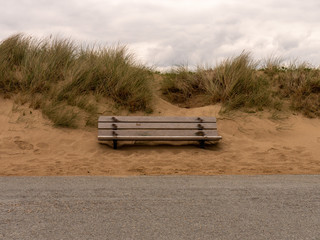 a sand bench on the beach, tall grass visible and an asphalt path