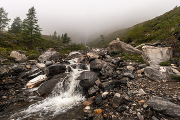 Fototapeta na wymiar Mountain river in the fog. Large boulders and small stones at the edges. Young spruce grow. Horizontal.