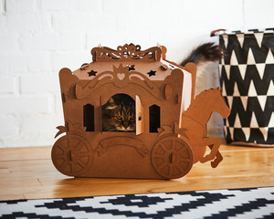 The fluffy cat sitting in a cardboard carriage