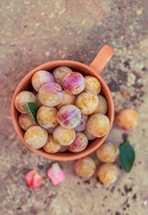 Cherry plum in a clay bowl on a concrete surface in the yard. Top view. Soft focus.