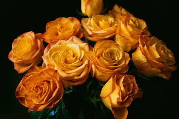 Bouquet of beautiful yellow roses close up on dark background.