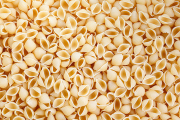 A variety of types and forms of Italian pasta. Dry pasta in the shape of shells. Pile of seashells pasta isolated on white background. Shot from above and filling the frame.