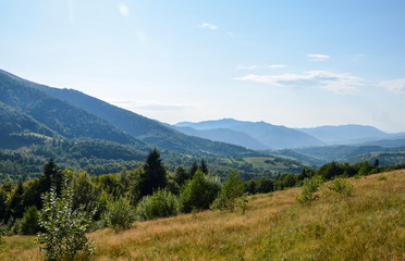 Fototapeta na wymiar Picturesque mountain valley with hills forest and fresh grass. Summer landscape in Carpathian mountains, Ukraine